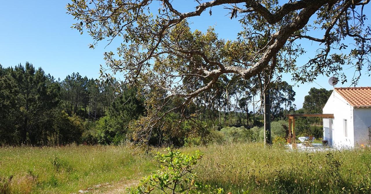 Monte Da Xara *