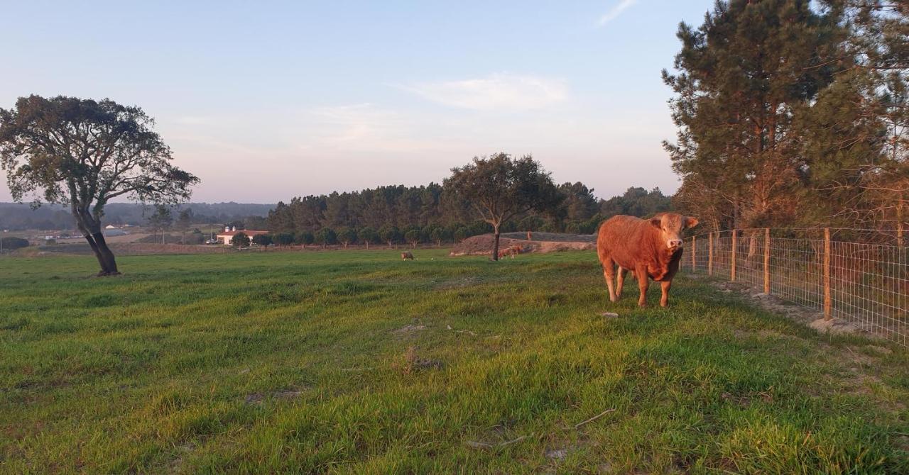 Monte Da Xara Holiday home *