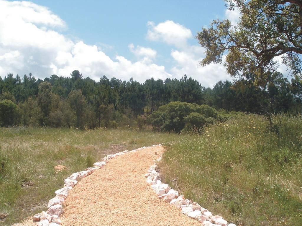 Monte Da Xara *