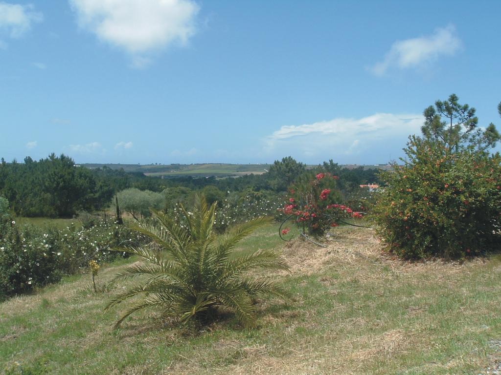 Holiday home Monte Da Xara *